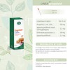 ESI - Propolaid Estratto Puro Analcolico, Integratore Alimentare di Propolis,