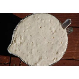 Unbranded SAN FRANCISCO SOURDOUGH STARTER yeast an original wharf, and recipes FRESH NEW