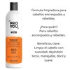 Shampoo Suavizante The Tamer Pro You Profesional | Para Cabello