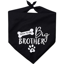 Big Brother - Bandana reversible para perro, diseño triangular, Negro