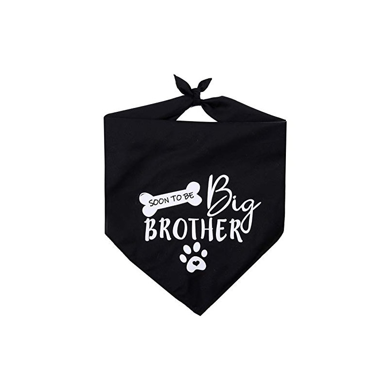 Big Brother - Bandana reversible para perro, diseño triangular, Negro