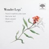 New Nordic Wonder Legs - High Strength Pine Bark Extract