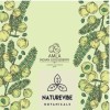 Naturevibe Botanicals Organic Amla Berry Powder, 8 ounce by Naturevibe