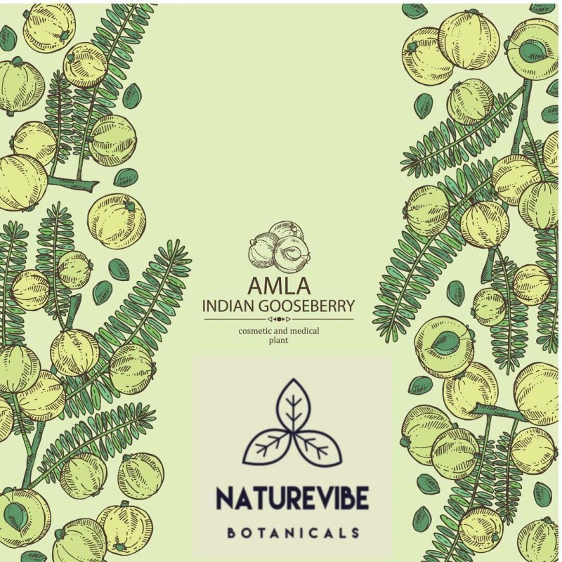 Naturevibe Botanicals Organic Amla Berry Powder, 8 ounce by Naturevibe