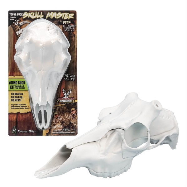 Mountain Mike’s Skull Master - European-Style Mount Kit for Antlers - for Antlers Larger Than 4 ⅞” Diameter - Compatible with Harvested and Shed Antlers - White (Large)…