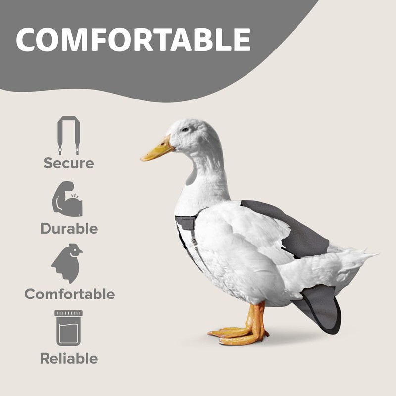 Hen Holster Wrap-Around Duck Diaper with Removable Liner and Adjustable