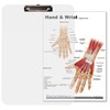 Hand, Foot, Shoulder, Hip Support Card Chart with clipboard Set.
