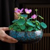 MaiQidd Lotus Bowl Planter, Lotus Bowls for Planting in Water