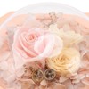 Forever Flower Double Drawer Octangle Gift Jewelry Packaging Storage Jewelry