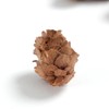 BYHER Pine Cones, Mini Pinecones in Bulk for Crafts, 8OZ,