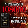クラチャイダム600 大容量90日分/180粒（1粒に600mgの生クラチャイダムを濃縮）