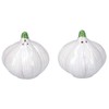 Gisela Graham Ceramic Garlic Salt & Pepper Shaker Set