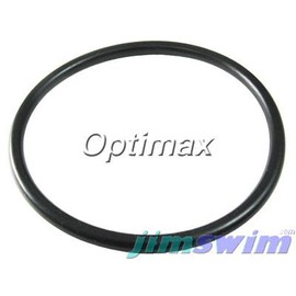 Waterway Crystal Water Cartridge & Crystal Water D.E. Filter O-Ring WW8050339