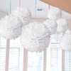 Pack of 24 Pompoms Decorative White Tissue Paper Pompoms, Lanterns