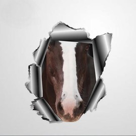 Pet Horse Car Window Sticker Torn Metal 3D Vinyl Die Cut Decals Funny Laptop Bumper Stickers Animal Pet Gift,22 Inch