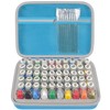 ALKOO Model Paint Storage Case for Testors Paint Set, Paints