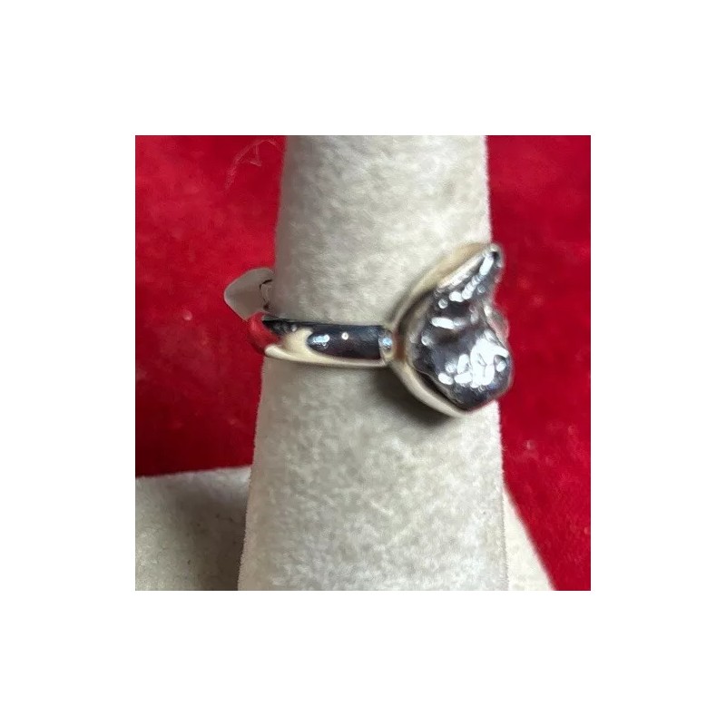 Natural Creations Sterling silver ring size 7 Meteorite Raw