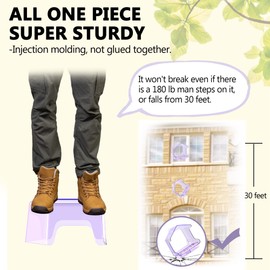 LUJII Purple Window Bird Feeder with Strong Suction Cup, All One Piece Super Sturdy, Backless Design for Unobstructed Viewing, Fits Bigger Birds Like Cardinal or Blue Jay