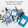 Aceite esencial 100% puro grado Terapéutico de pachuli, 10 ml