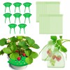 Unbranded 8Pcs Green Strawberry Supports Planting Kit with 20Pcs Insect-proof