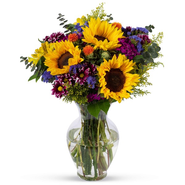 BENCHMARK BOUQUETS - Flowering Fields Bouquet, Prime Delivery, Free Vase, Farm Direct Fresh Flowers, Gift for Anniversary, Birthday, Congratulations, Get Well, Home Décor, Sympathy, Thank You.