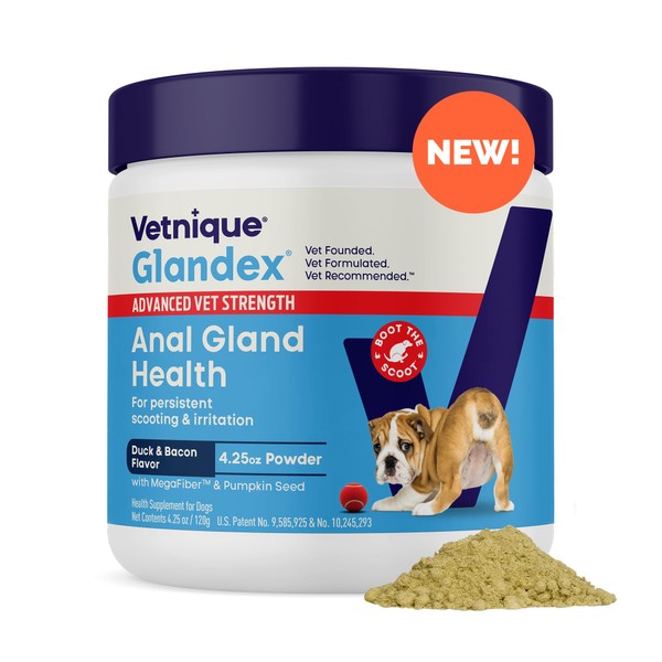 Glandex Dog Fiber Supplement Powder for Anal Glands with Pumpkin,