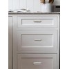 ZAUYX 10 Pack 2-1/2 Inch Center to Center Brushed Nickel