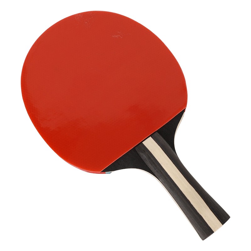 REGAIL Ping Pong Paddle Set Portable Table Tennis Set With