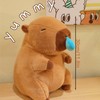 Aicerous® 30 cm Capybara Plush Toy, Capybara Cuddly Toy, Cute