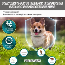 RYEWGRV 4 Pieza Collar con Hebilla, 65CM/26.6in (Gris)