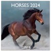 DRAEGER PARIS | Large Wall Calendar Horses 2024 to Hang
