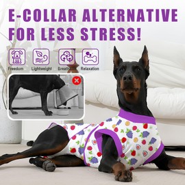 Abuandi Recovery Suit for Dogs After Surgery, Professional Dog Surgical Suit for Female Spay, Male Neuter, E-Collar & Cone Alternative Dog Onesie for Abdominal Wounds Skin Disease, Purple, XL