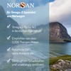 NORSAN Premium Omega 3 Fish Oil Total Lemon High Dose