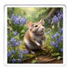 Rat Coaster Set. 4 different Rat Pictures on 10cm x
