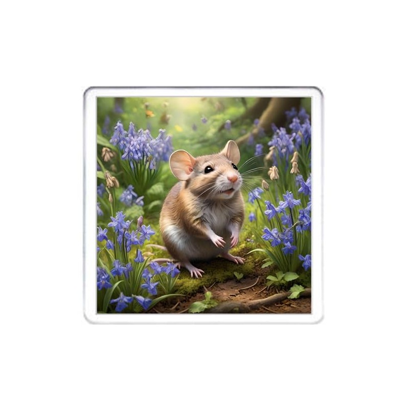 Rat Coaster Set. 4 different Rat Pictures on 10cm x