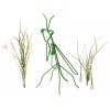 Mantis Praying Mantis Garden Decoration - Wrought Iron - amish