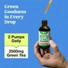 Unbranded Green Tea Extract - 2500Mg - 50% EGCG -