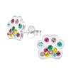 Cat Dog Paw Print Earrings with Crystal Stones - Colourful