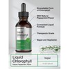 Chlorophyll | 2oz Liquid Drops | Vegan, Non-GMO, and Gluten