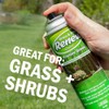 Seymour RENEW Grass and Shrub (Pristine). 17 oz. Can. (Pack