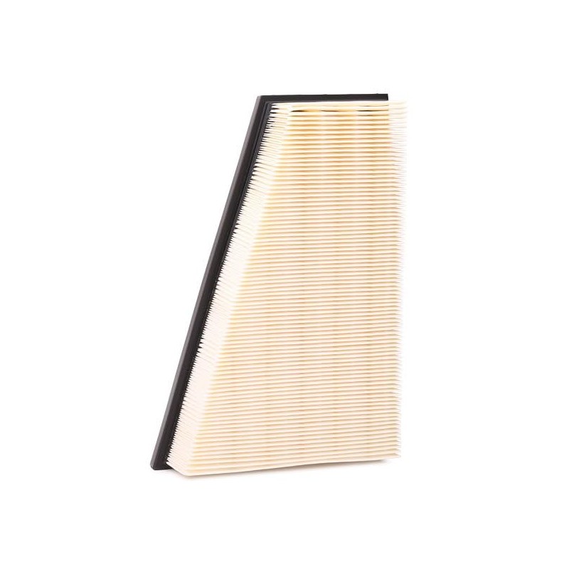 RIDEX 8A0357 Engine Air Filter, Air Filter Insert, Car Filter,