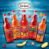 Grace Orange Pineapple Flavor Syrup 25.5oz - 2 Pack -