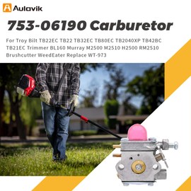 Amazeful 753-06190 Carburetor for Troy Bilt TB22EC TB22 TB32EC TB80EC TB2040XP TB42BC TB21EC Trimmer BL160 Murray M2500 M2510 H2500 RM2510 Brushcutter WeedEater Replace WT-973