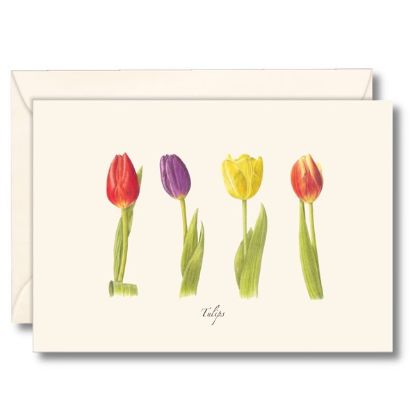 Earth Sky + Water - Tulips Notecard Set - 8 Blank Cards with Envelopes