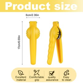 Chestnut Clip 304 Stainless Steel Chestnut Cutter Chestnut Cutter Chestnut Cutter Chestnut Cutter Chestnut Cutter Chestnut Cutter Chestnut Cutter Chestnut for Walnuts Dry Fruit Chestnut Nuts Sheller