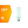 Designers Edge L765 65-Watt Fluorescent Bulb Replacement, Equivalent to 300