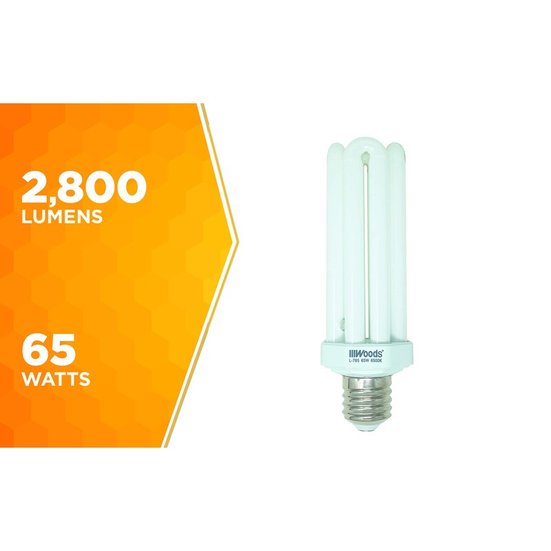 Designers Edge L765 65-Watt Fluorescent Bulb Replacement, Equivalent to 300