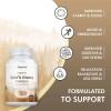 Hongo Melena De León Orgánico Buporai Organic Lions Mane Mushroom