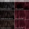 Madison Reed Radiant Hair Color Kit | 5RV Dark Garnet