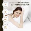 Ashton Sheets 100% Egyptian Cotton Full Size Sheet Set -